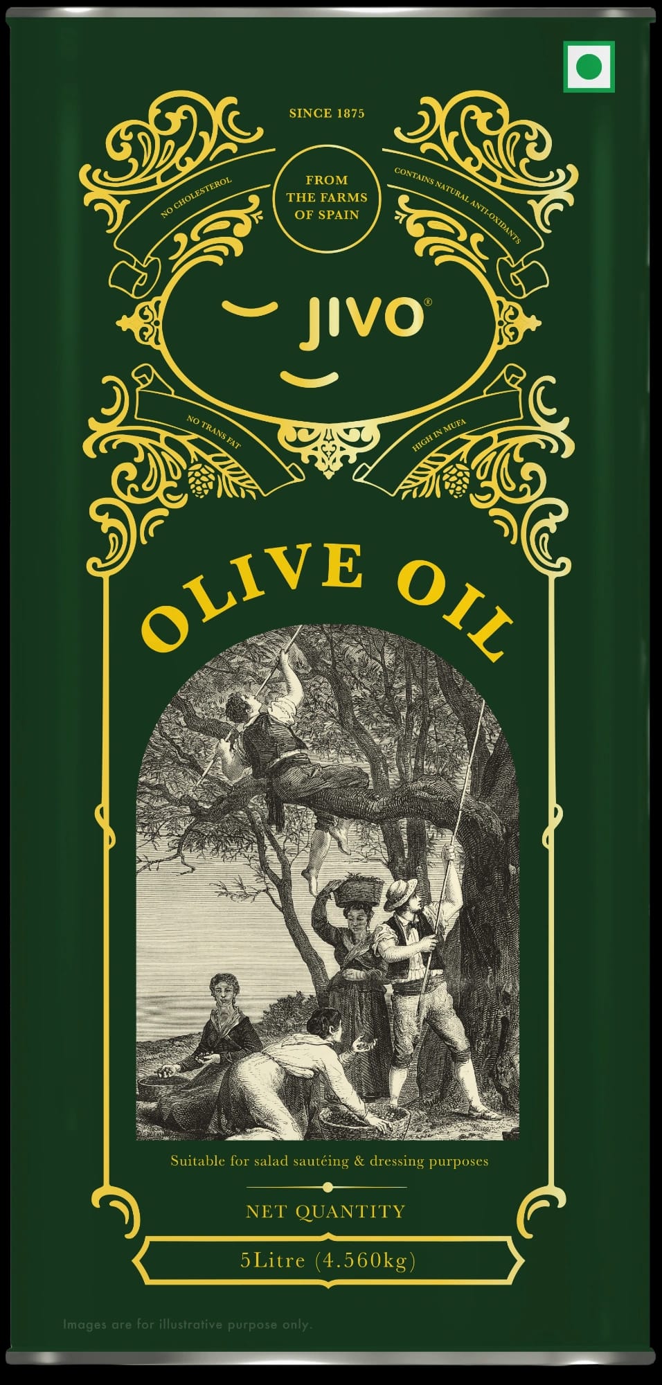 Jivo olive oil — 5 Litre